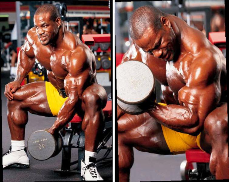 Concentrated dumbbell raises